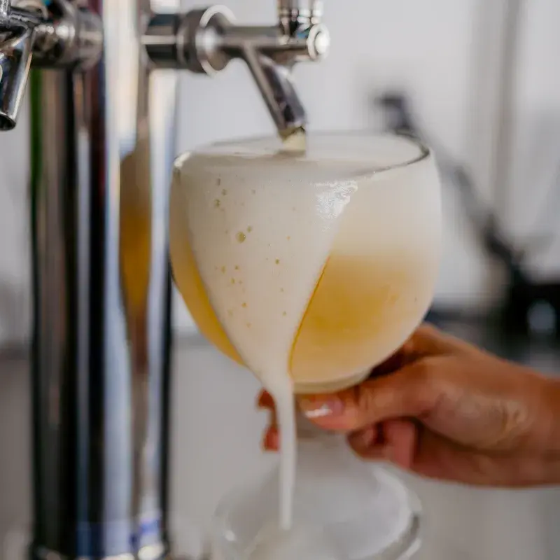 Fresh margarita poured behind the Harbor House bar